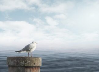 Jak uspokoić układ nerwowy?