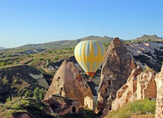 Czy martwicą może się cofnąć?