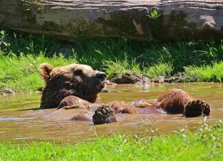 Jak odświeżyć umysł?