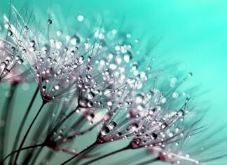 Czy kropelka jest mocna?