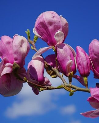 Czemu zawsze opalam się na czerwono?