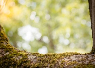 Jak poprawić zdolność zapamiętywania?