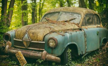 Co jest dobre na pamięć?