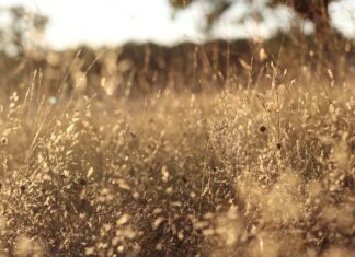 Jakich filtrów unikać?