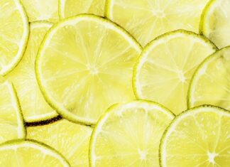 Na co stosuje się plastry Bactigras?