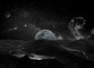 Kto leczy układ nerwowy?