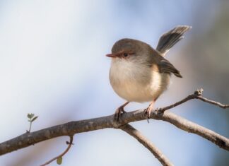 Co oznaczają sine podkowy pod oczami?