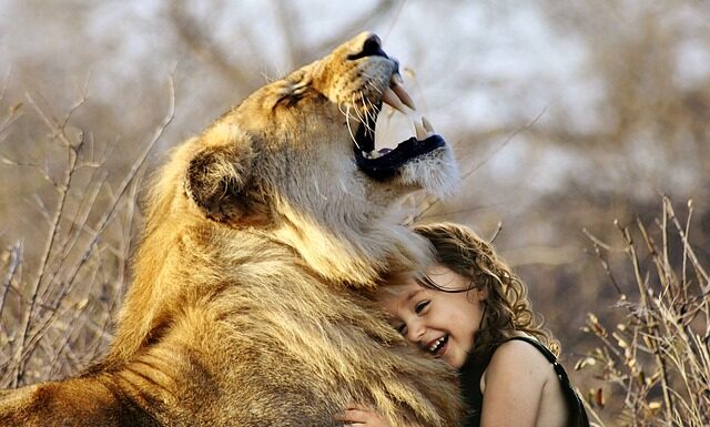 Która wcierka jest najlepsza?